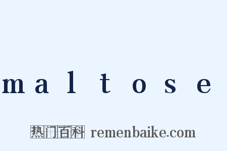 maltose是什么意思的图片